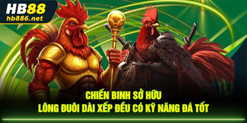 Chiến binh sở hữu lông đuôi dài xếp đều có kỹ năng đá tốt