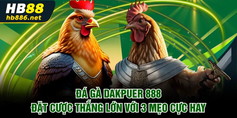 Đá gà Dakpuer 888