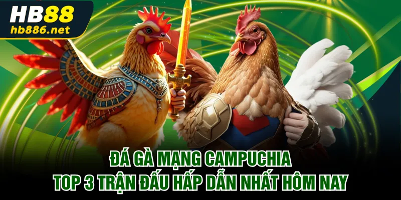 Đá gà mạng Campuchia