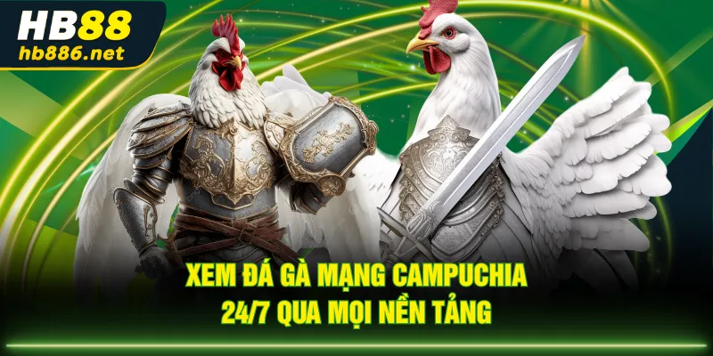 Xem đá gà mạng Campuchia 24/7 qua mọi nền tảng