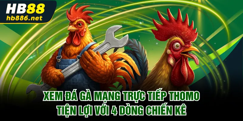 đá gà mạng trực tiếp Thomo