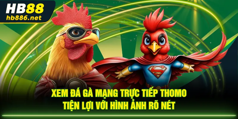 Xem đá gà mạng trực tiếp Thomo tiện lợi với hình ảnh rõ nét